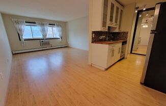 Newly Updated 1 Br/1 Ba Condo w/Hdwd Flrs, SS Appl, AC, Off-St Parking in Uptown Mpls near Wedge Co-op!