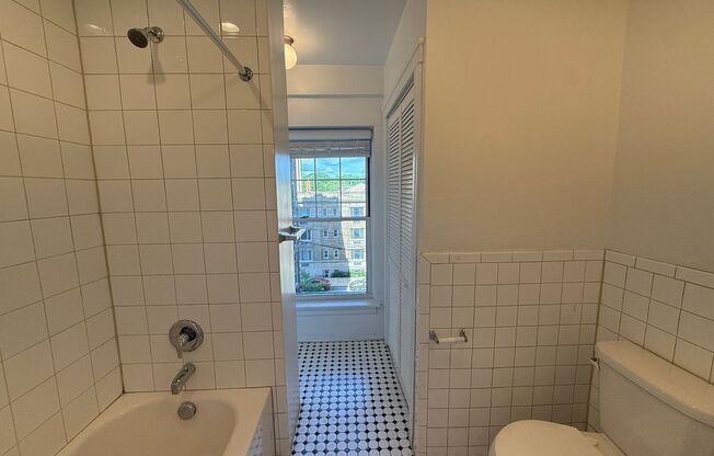 Studio, 1 bath, 295 sqft, $835, Unit Old King Edward 351