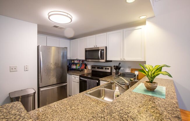 1 bed, 1 bath, $2,450, Unit (#1017)