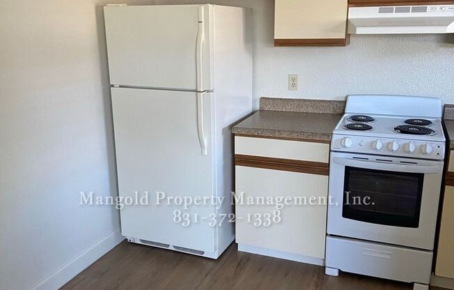 1 bed, 1 bath, 470 sqft, $1,925