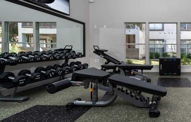 A gym with a row of dumbbells and a rowing machine.