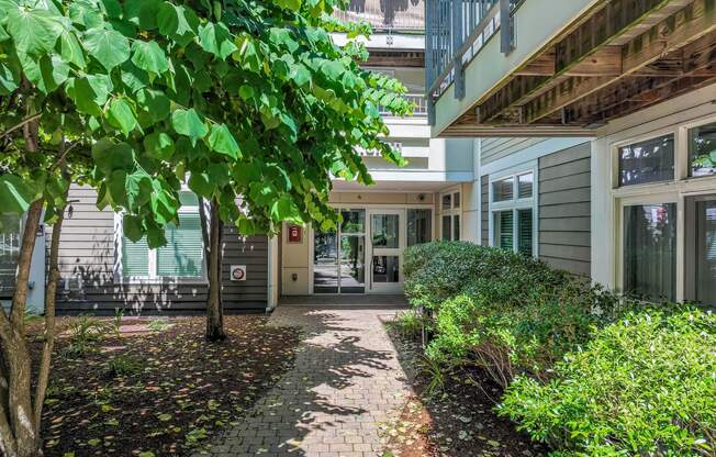 Lush greenery lining walking paths at 7 Cameron Apartments, Cambridge 02140