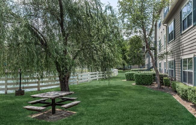 a bench in front of a tree