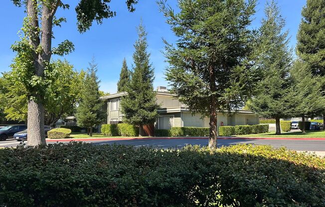 2 beds, 1 bath, 825 sqft, $1,675, Unit 490105