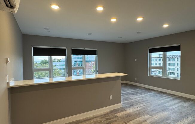 Studio, 1 bath, $2,250, Unit 505