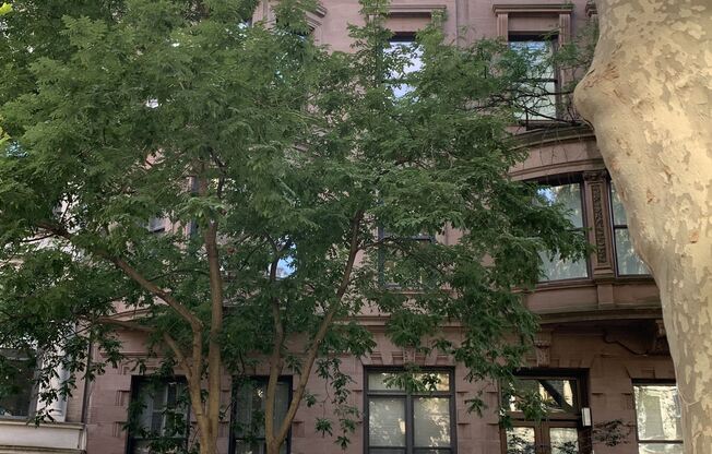 38 W 69 ST