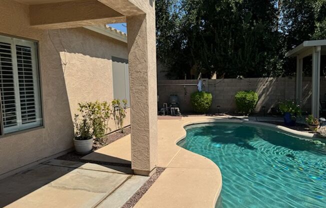 4 Bedroom Oasis in Gilbert