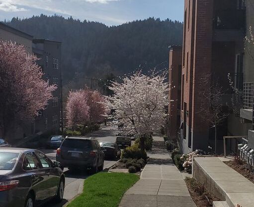 1 bed, 1 bath, 551 sqft, $1,410, Unit 2-113