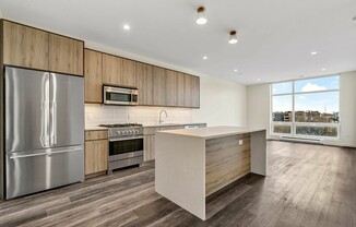 1130 W CHICAGO AVE