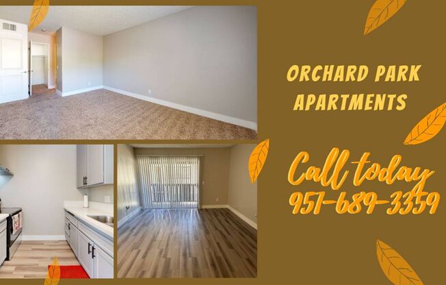 Orchard Park Apts