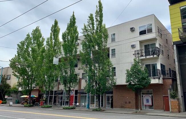 Studio, 1 bath, 483 sqft, $1,450, Unit 308