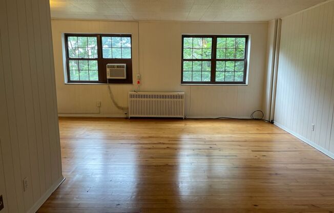 Studio, 1 bath, 487 sqft, $1,250, Unit Fifth 103