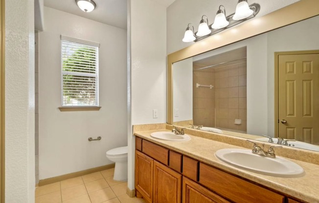 a bathroom with a sink and a toilet