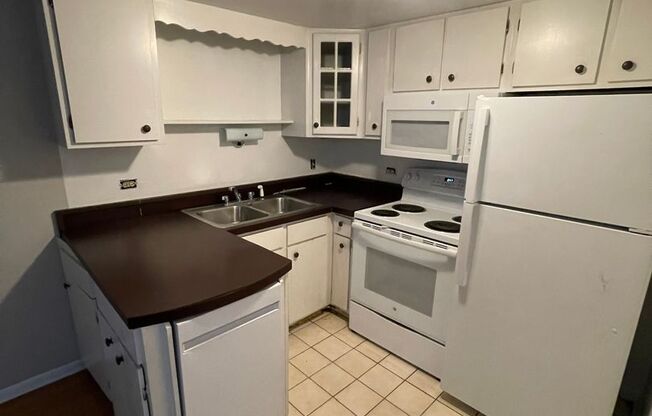 1 bed, 1 bath, 700 sqft, $1,250, Unit 101