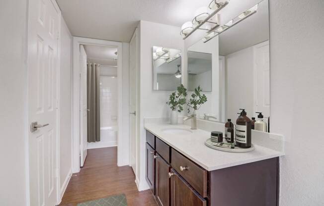 a bathroom with a large mirror and a counter with a sink