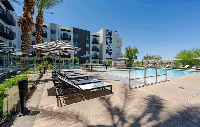 our apartments showcase a swimming pool