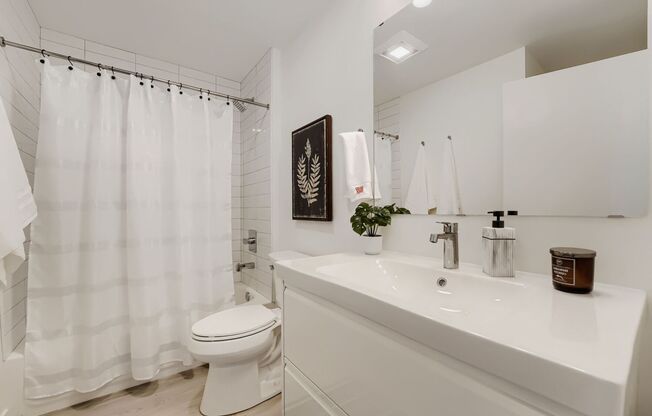 1 bed, 1 bath, 485 sqft, $1,795, Unit Unit 103