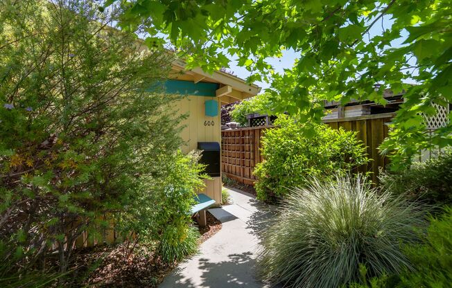 4 Bed / 2 Bath Welcoming Midtown Palo Alto home for rent. YouTube tour!!