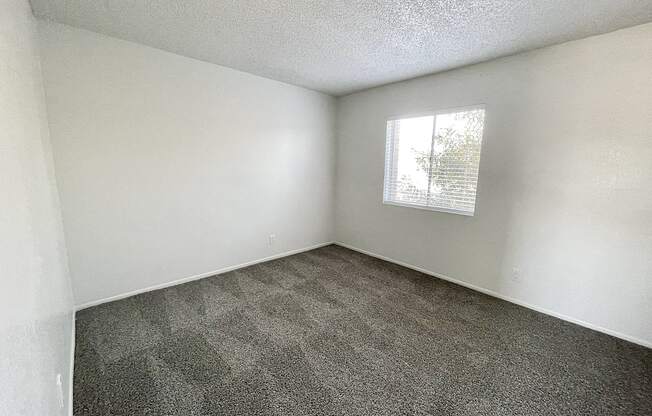 A room with a grey carpet and a window with blinds.