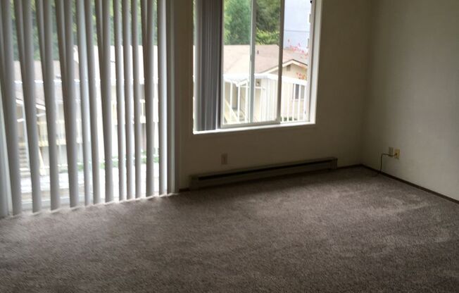 Studio, 1 bath, 450 sqft, $1,395, Unit 22