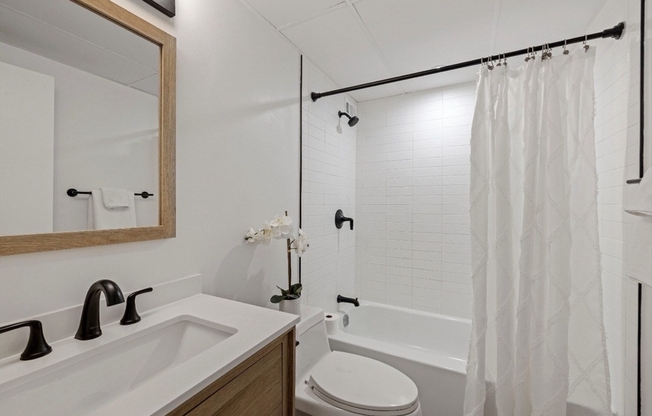 2 beds, 2 baths, 1,164 sqft, $3,575, Unit 221