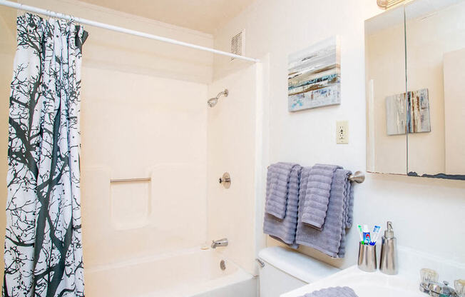 spacious bathroom at Arbors at Eastland apartments