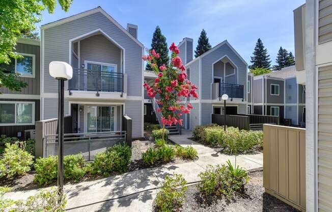 Property Grounds with Walkway, Bushes and Street Lamps