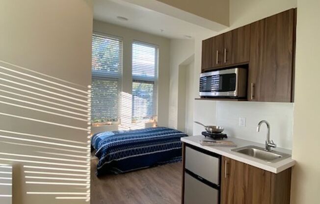 Studio, 1 bath, 175 sqft, $1,495, Unit 501