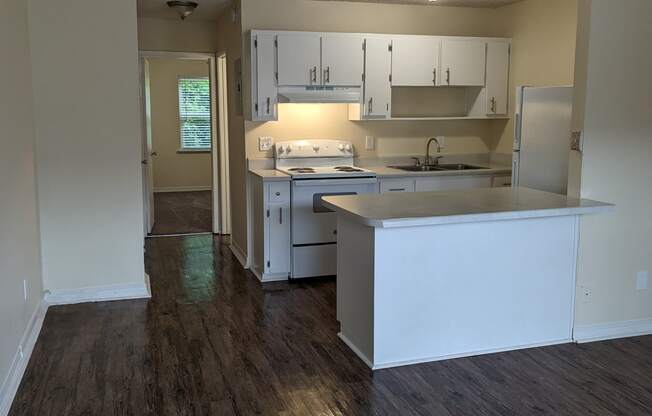 Open kitchen floorplan in one bedroom