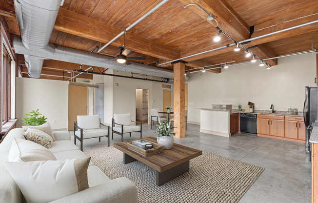 Spacious industrial-chic apartments