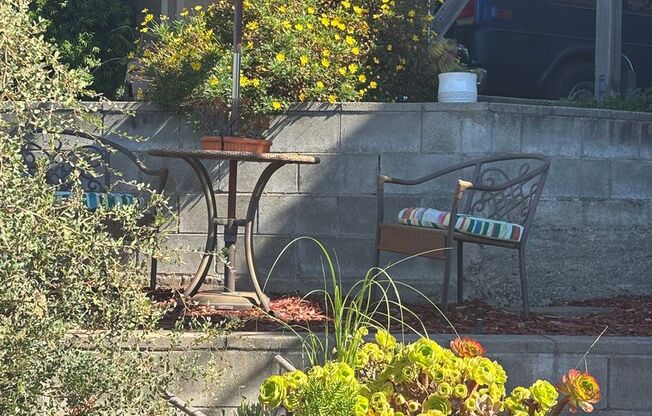 Spacious Apartments in the Desirable Bronze Coast Neighborhood