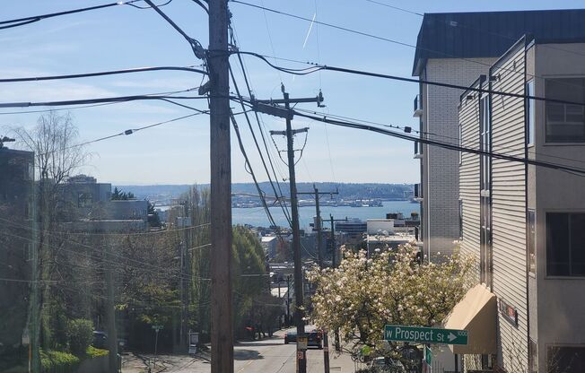 2 beds, 1 bath, 867 sqft, $2,995, Unit 102