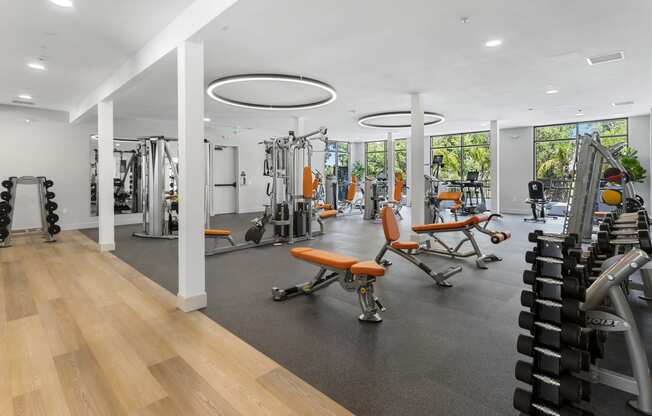 the gym is equipped with weights and cardio equipment