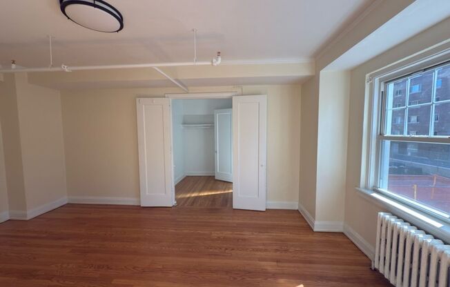 Studio, 1 bath, 301 sqft, $1,400, Unit Wellington 205