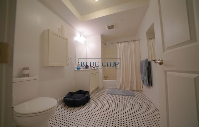 219 Commonwealth Ave