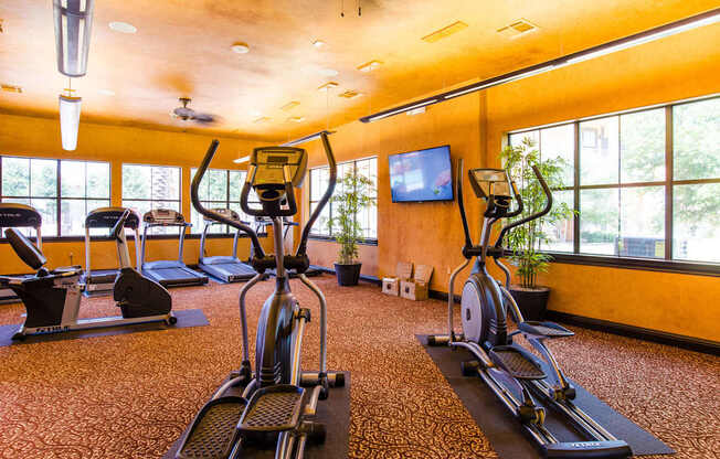 A bright fitness center here at Tuscany at Faudree with elliptical machines, treadmills, and stationary bikes arranged across patterned flooring. Large windows line the walls, bringing in natural light and views of greenery, while mounted televisions, ceiling fans, and potted plants create an energizing and comfortable workout environment.