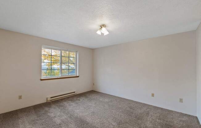 an empty living room with carpet and a window