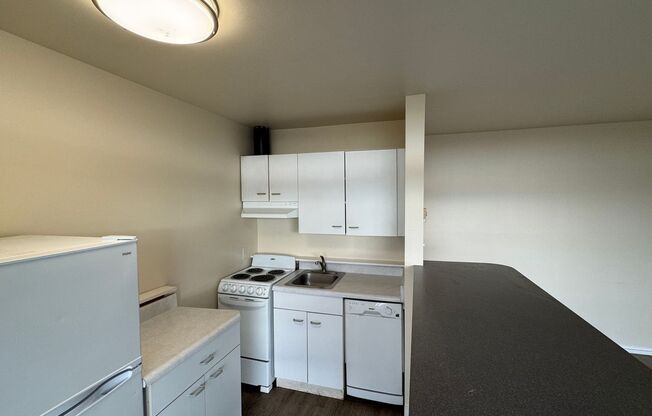 1 bed, 1 bath, 495 sqft, $1,350, Unit 206