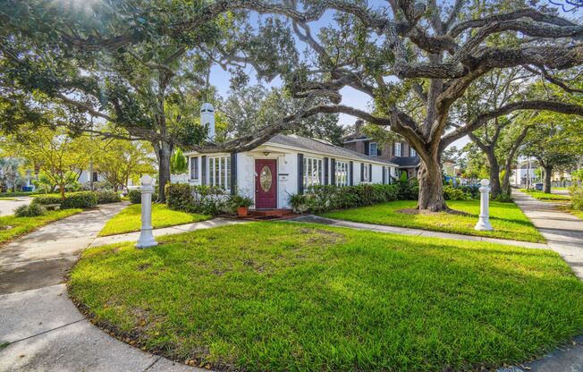 Beautiful Home on Davis Island