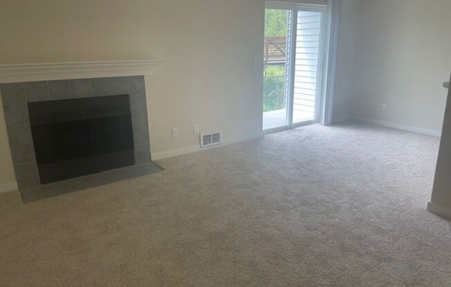 Park 5 Apartments