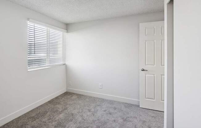 A room with a carpeted floor, a window with blinds, and a white door.