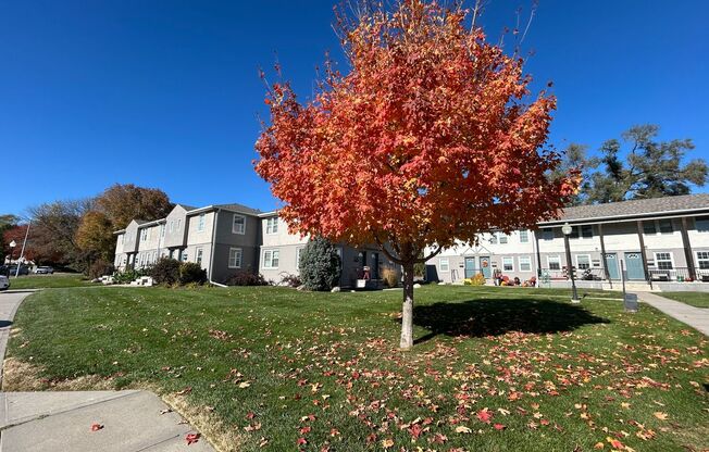 2 beds, 1 bath, 950 sqft, $1,395, Unit 3093-4