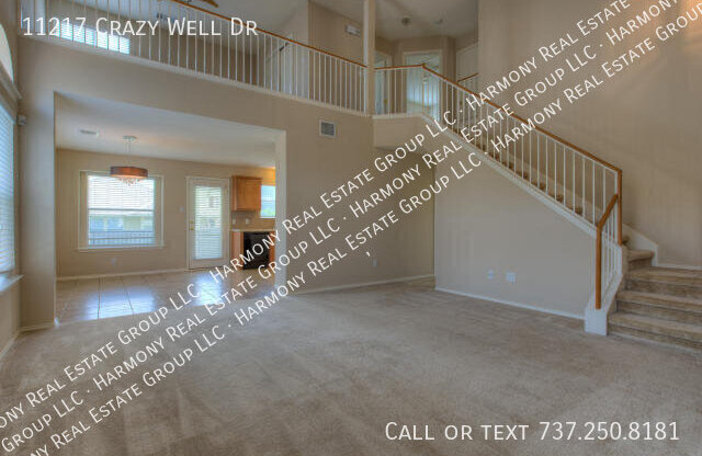 11217 CRAZY WELL DR