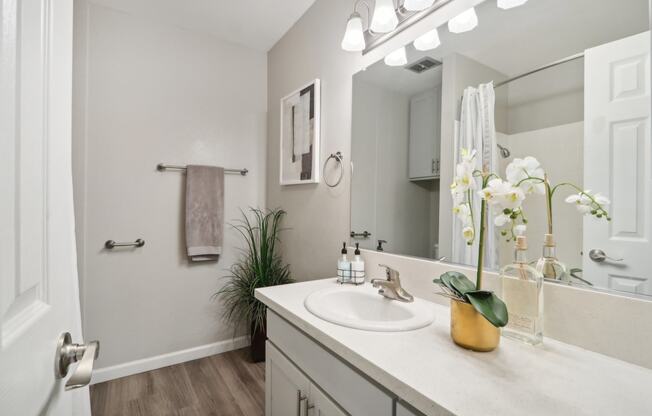 a bathroom with a sink and a mirror