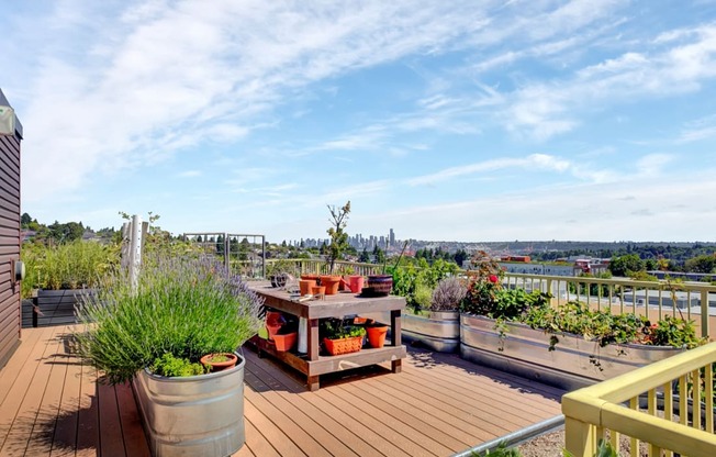 urban garden at Link + Mural, Seattle, WA, 98126