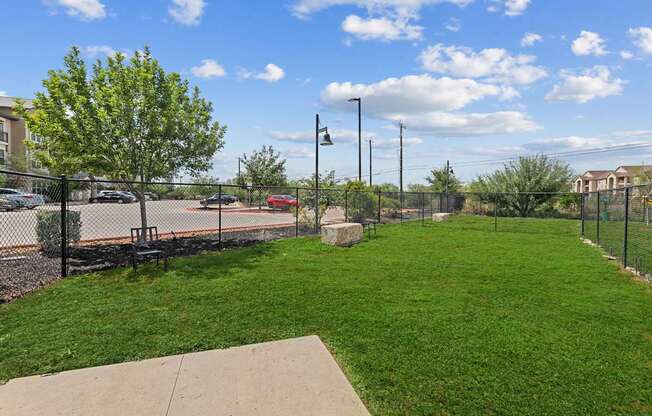 A park with a bench and a tree.