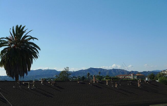 2 beds, 1 bath, 925 sqft, $2,795, Unit 312