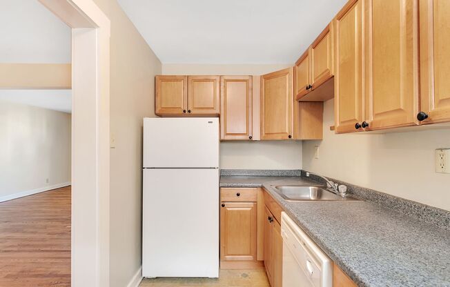 Treehaven Apartments