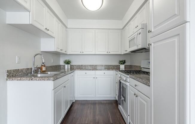 Spacious Kitchen at Park Apartments, California