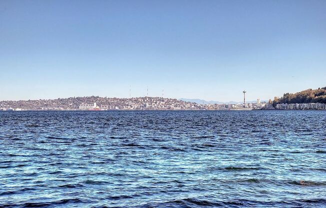 Location, Location, Location! - Modern one bedroom near Alki Point Lighthouse